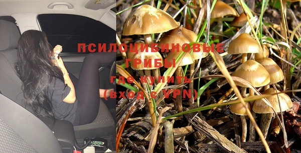 гашиш Медвежьегорск