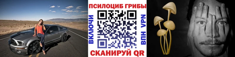 Псилоцибиновые грибы ЛСД Купить где Кировск